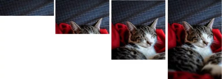 Стандартный тип загрузки JPEG