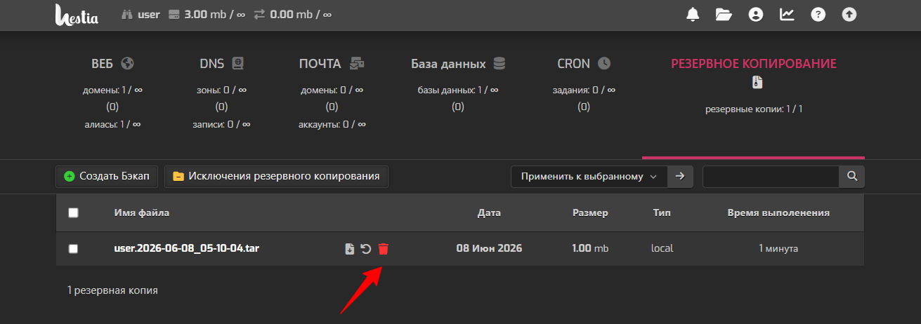 Backup Spb 3 Vm R2n6 Twc1 Net Hestia Control Panel 06 08 2026 02 20 Pm (1)