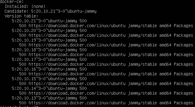 Выполненная команда показывает откуда будет установлен Docker и доступные версии
