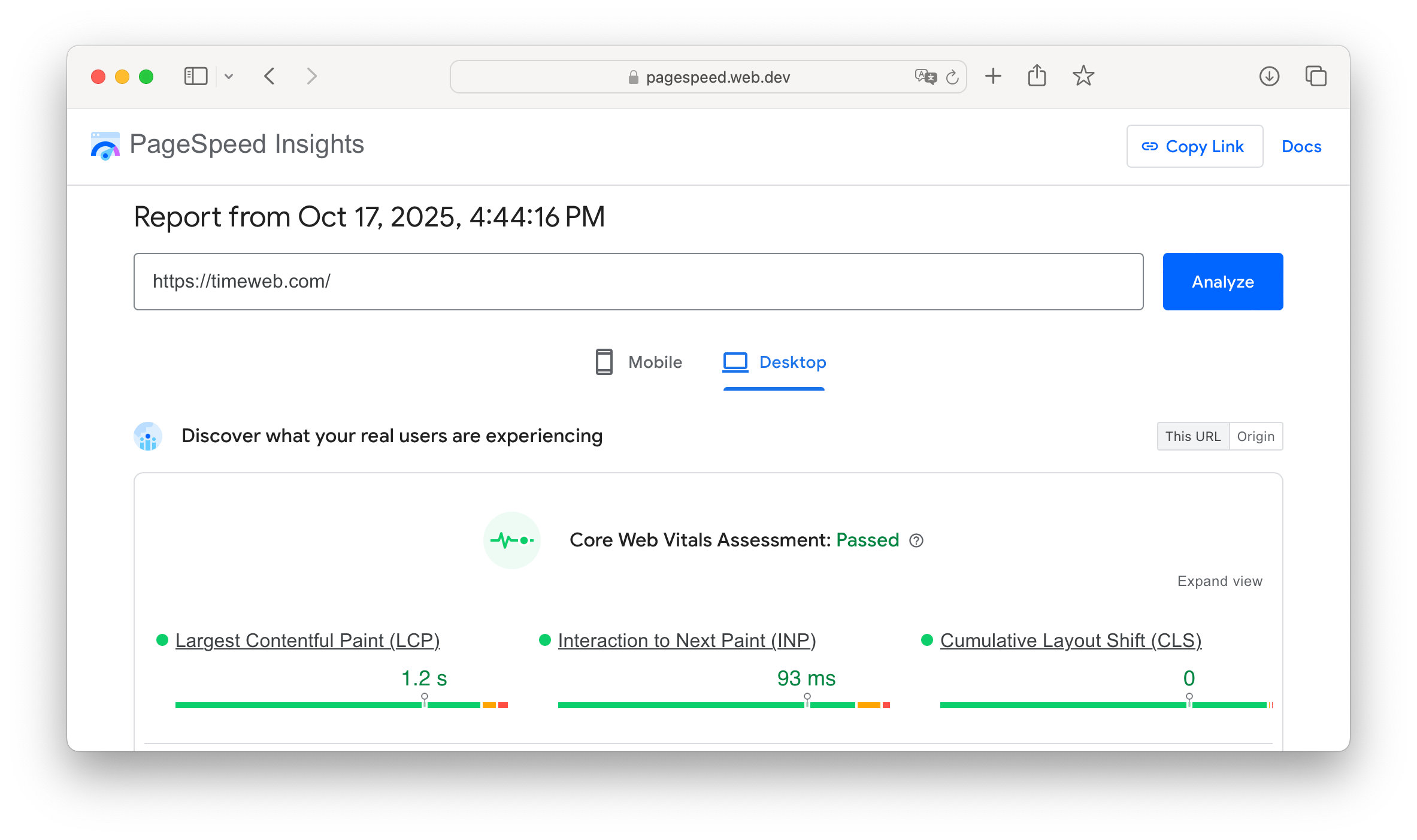 Google Page Speed Insights Interface