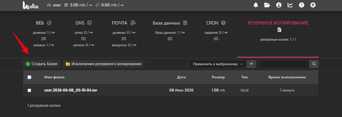 Backup Spb 3 Vm R2n6 Twc1 Net Hestia Control Panel 06 08 2026 01 54 Pm