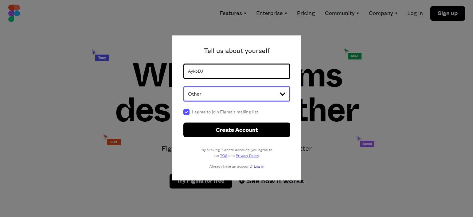 Ввод личных данных при регистрации в графическом редакторе