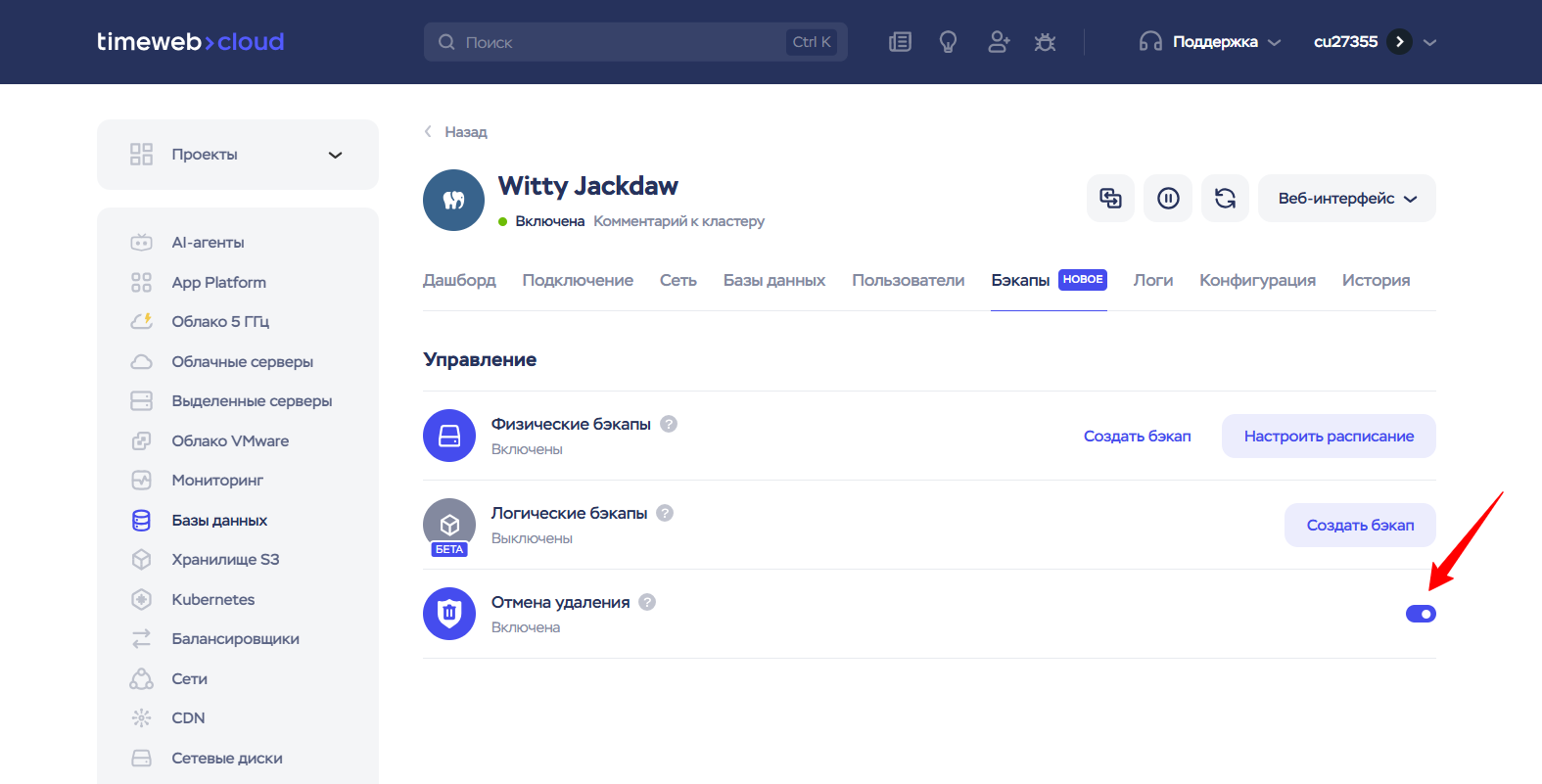 Witty Jackdaw 2026 08 06 15 55