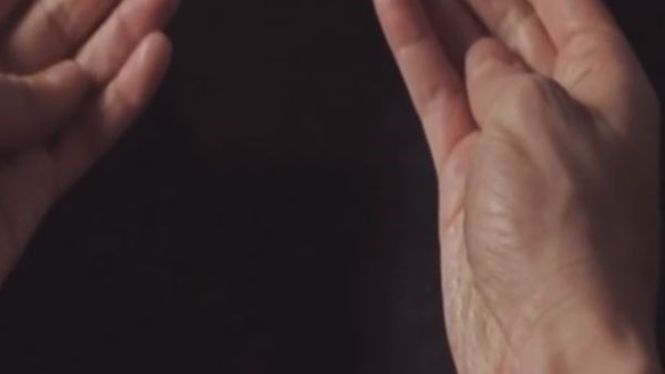 Черный лебедь CGI-графика