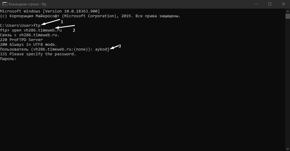 Как подключиться к FTP-серверу с помощью командной строки Windows