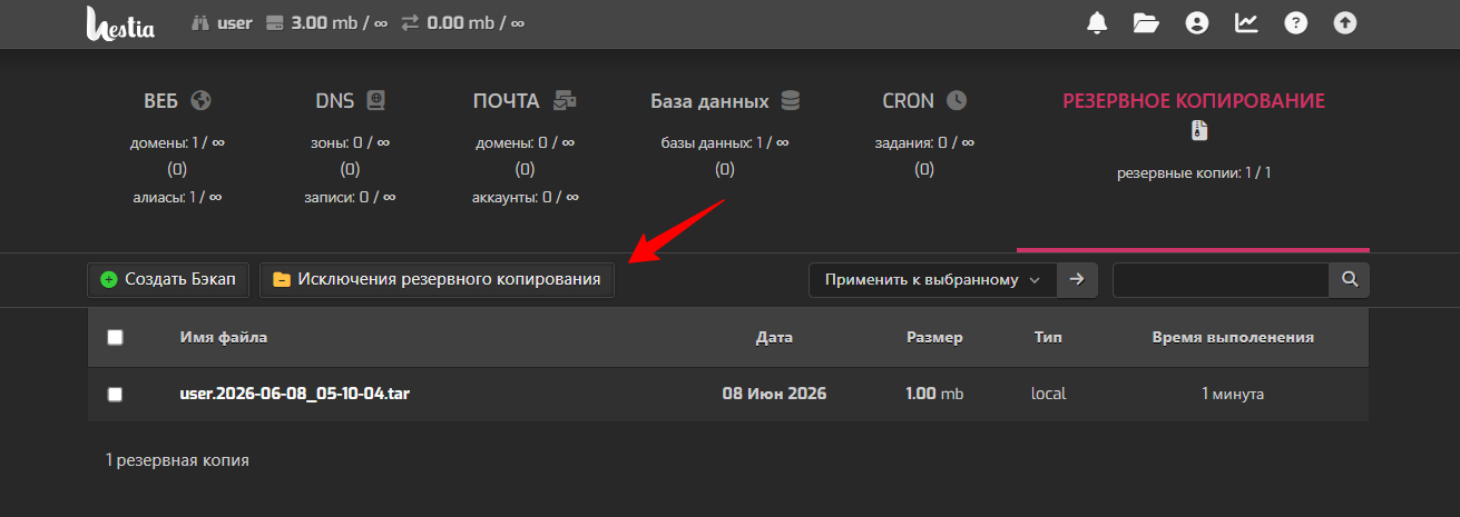 Backup Spb 3 Vm R2n6 Twc1 Net Hestia Control Panel 06 08 2026 02 31 Pm