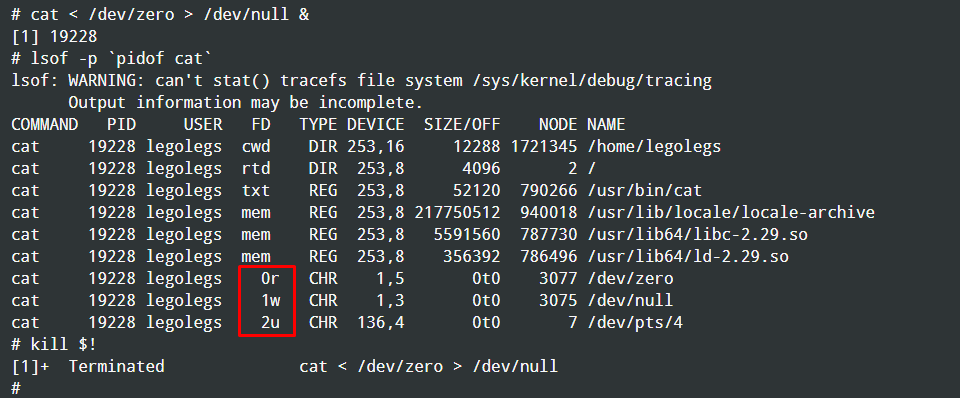 Номер файлового дескриптора