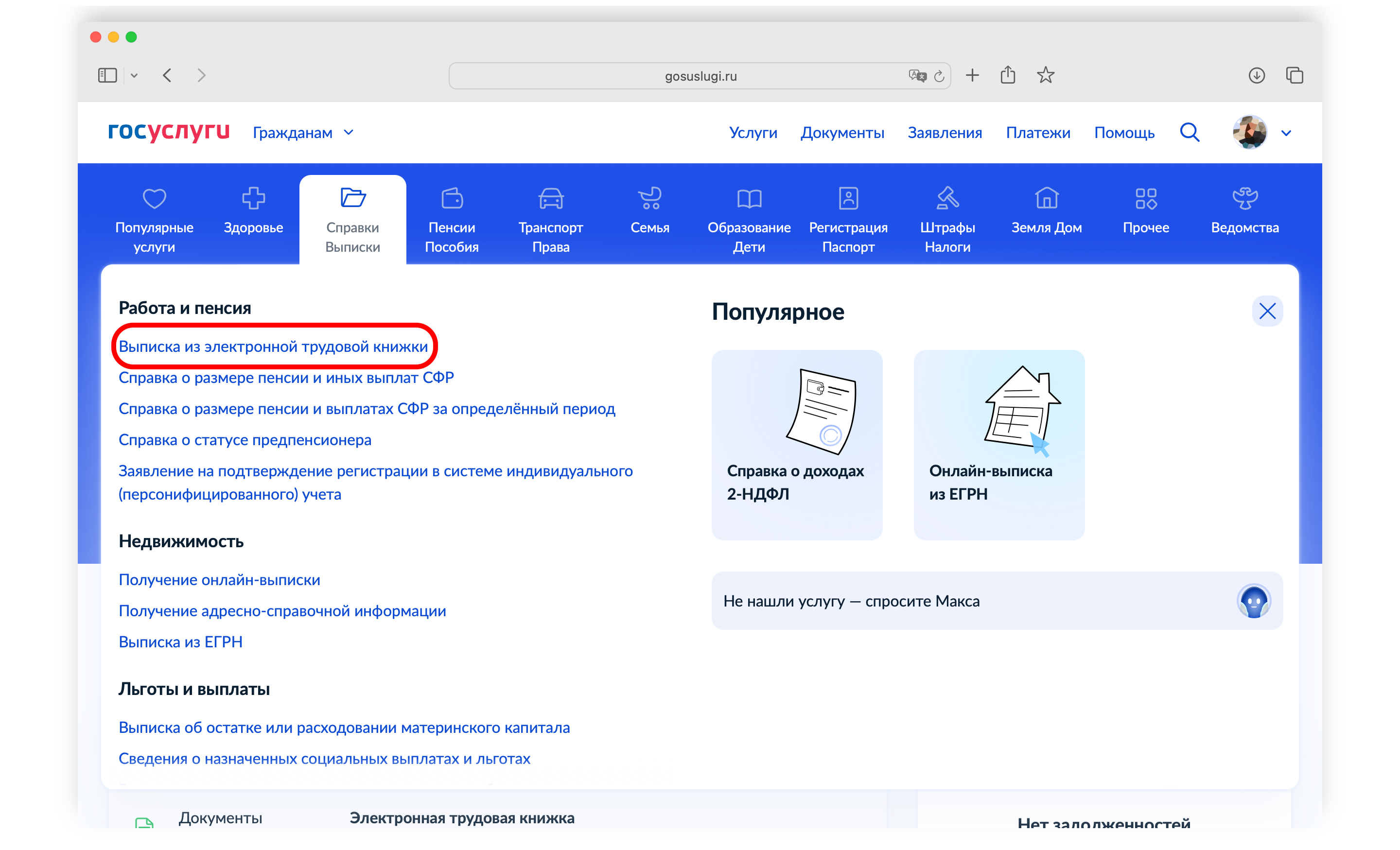Скриншот главной страницы Госуслуг