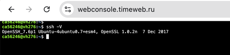 Проверка работы и версии утилиты OpenSSH через веб-консоль управления