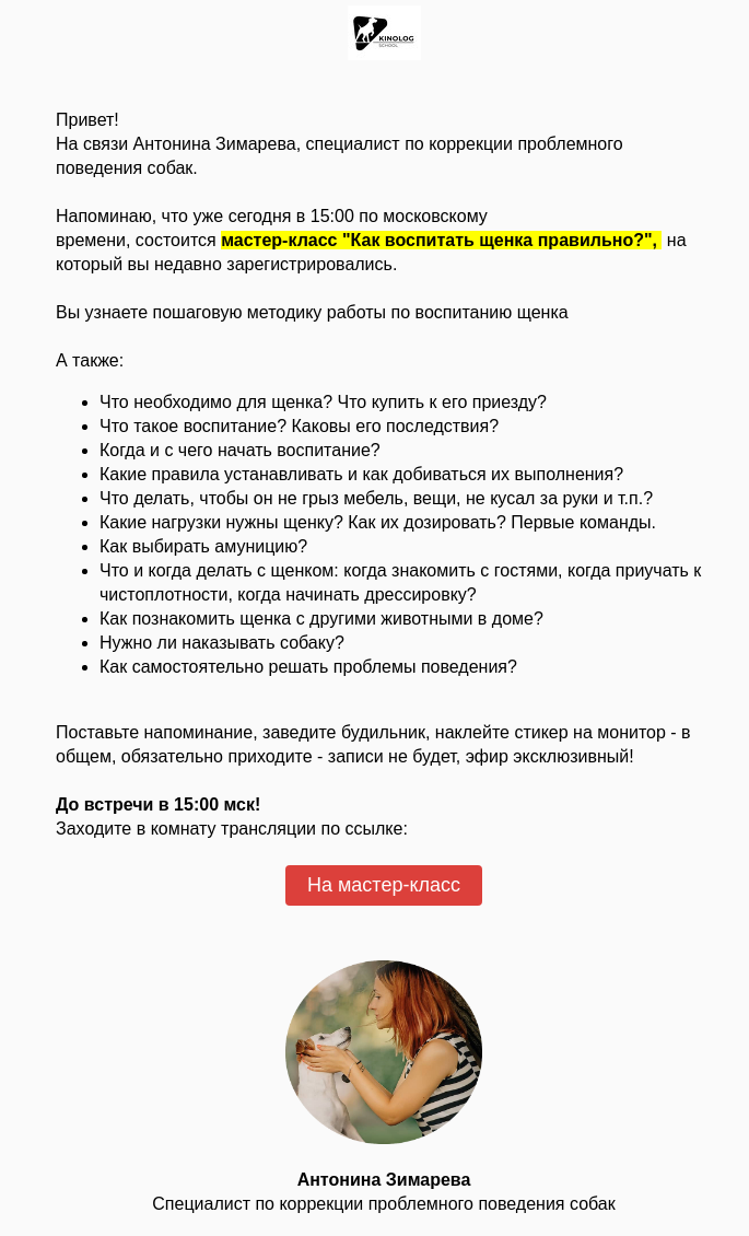 Информационные письма в рассылках примеры